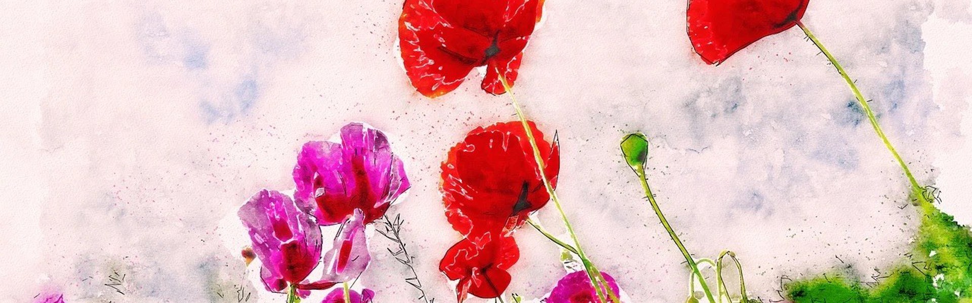 Main Image: a beautiful mixed media poppies painting, with vibrant red and pink flowers and green stems and grass.