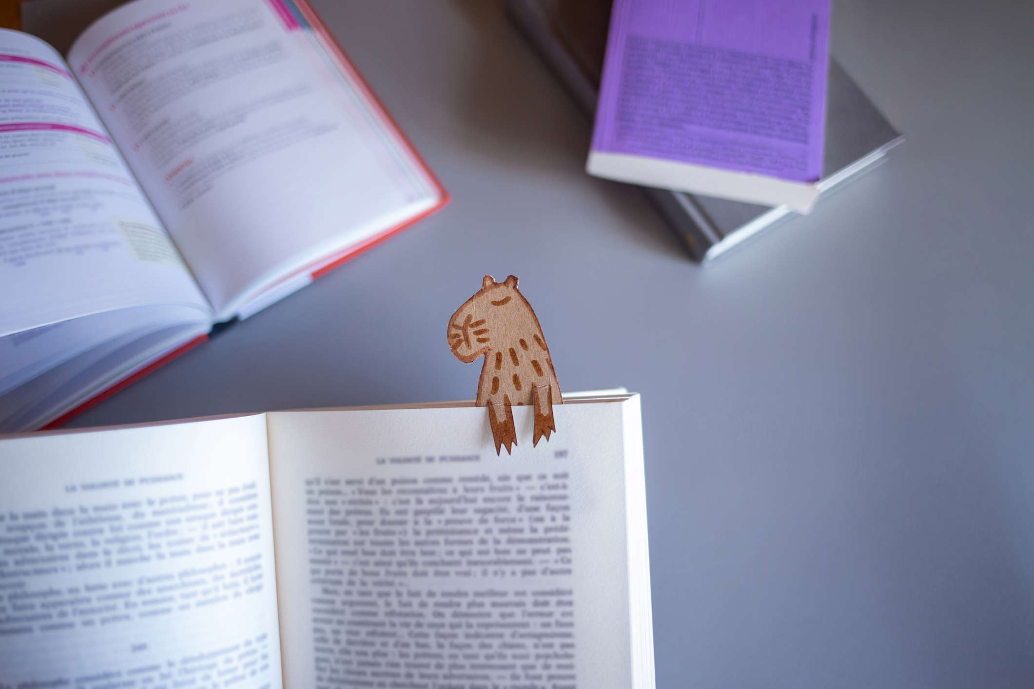 a colourful handmade animal book mark in a book