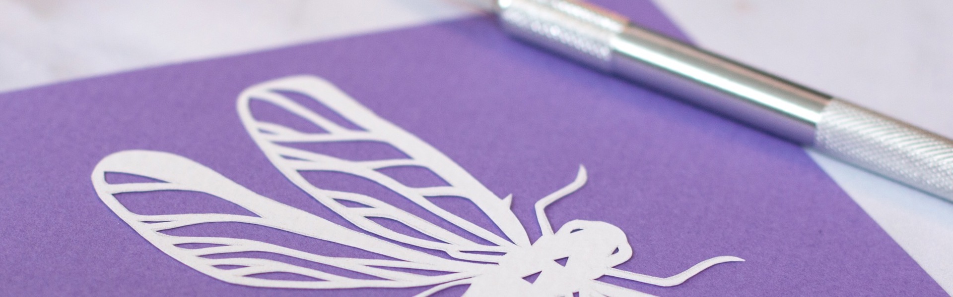 a white paper cut dragonfly made by Keeley Pearce