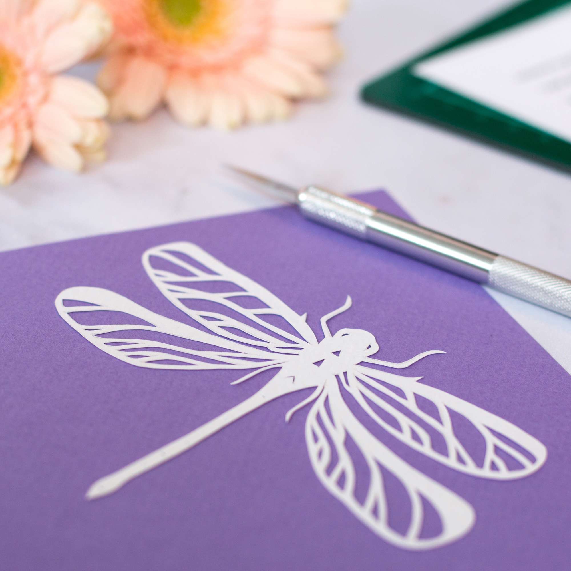 a white paper cut dragonfly made by Keeley Pearce