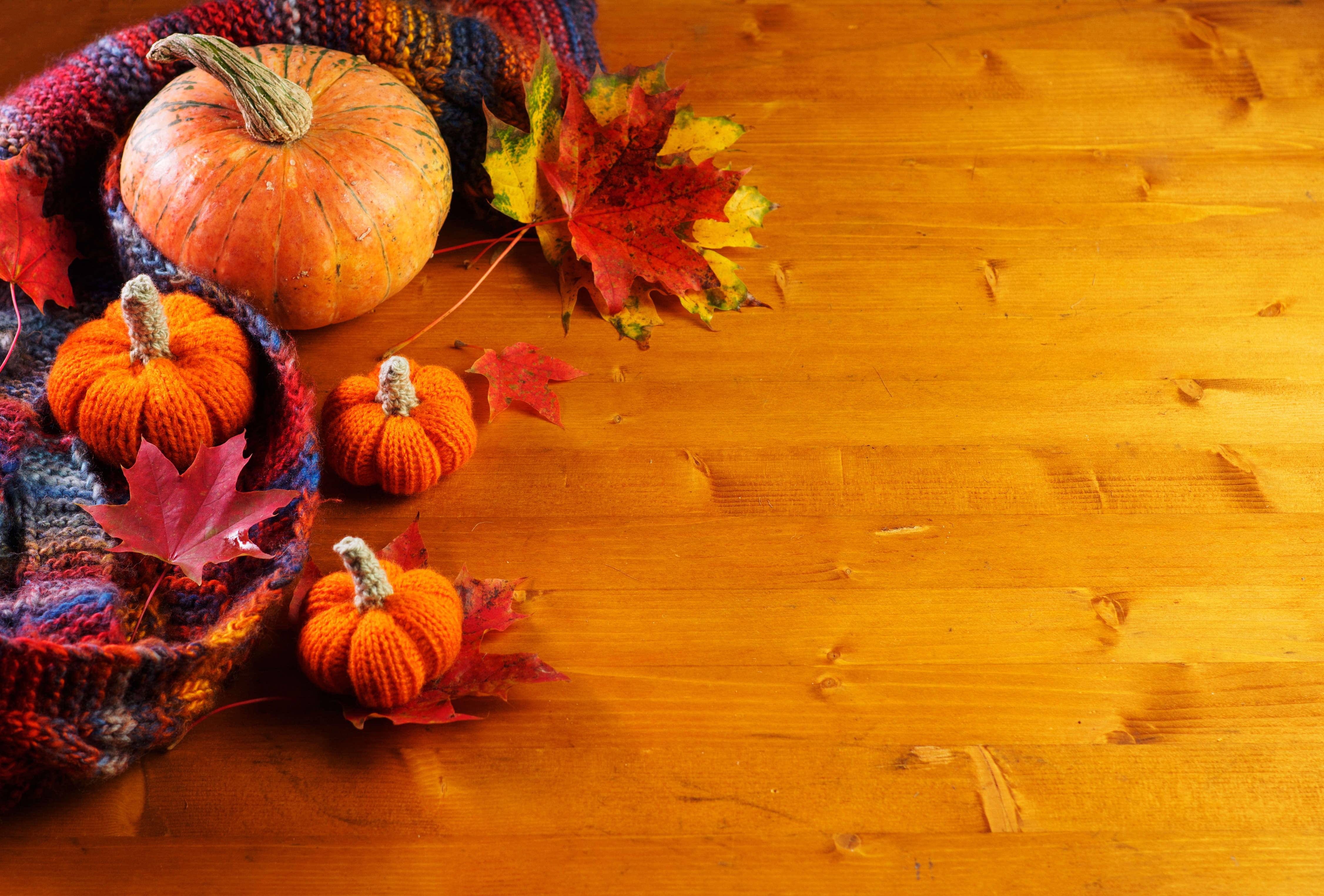 crochet pumpkins next to a real mini pumpkin surrounded by autumnal foliage leaves and a blue and red scarf