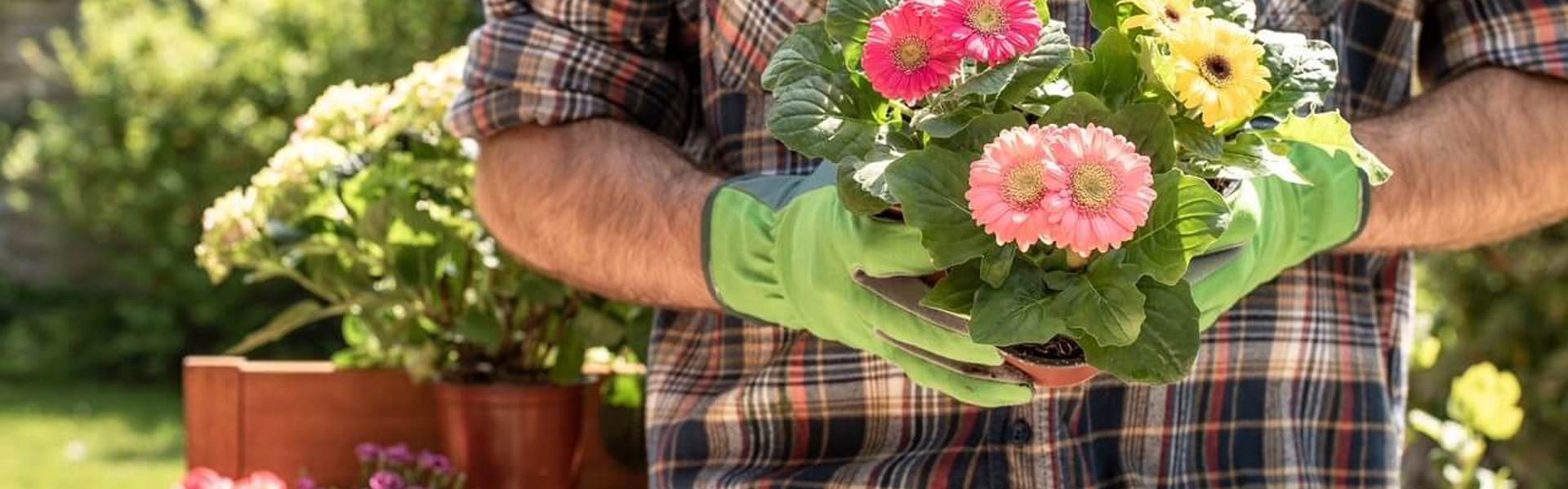 a person wearing a check shirt and green gardening gloves holding a bunch of flowers