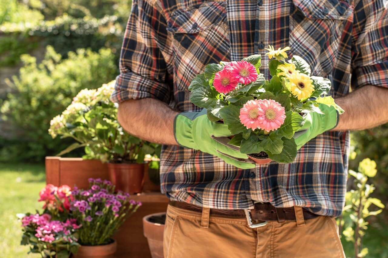a person wearing a check shirt and green gardening gloves holding a bunch of flowers