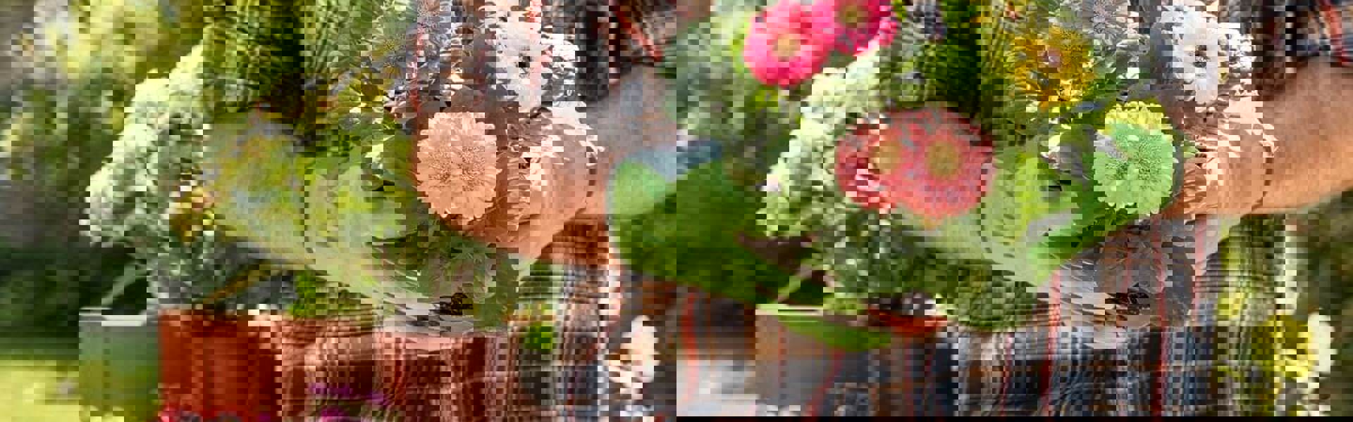 a person wearing a check shirt and green gardening gloves holding a bunch of flowers