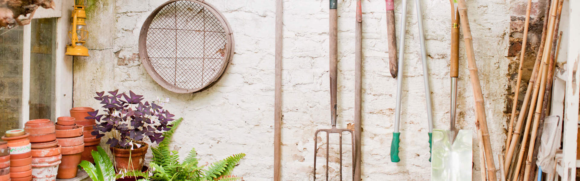 Main Image: second-hand garden tools hanging on a white painted brick wall in a greenhouse.