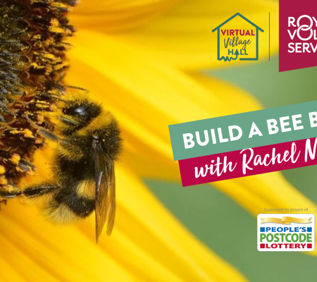 a close up of a bumblebee pollinating a sunflower