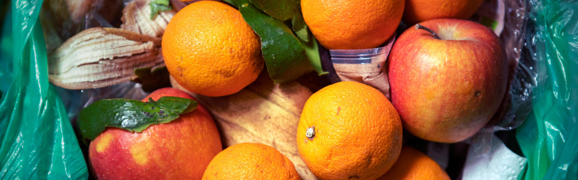 a green bag of food waster with oranges and apples and banana peels