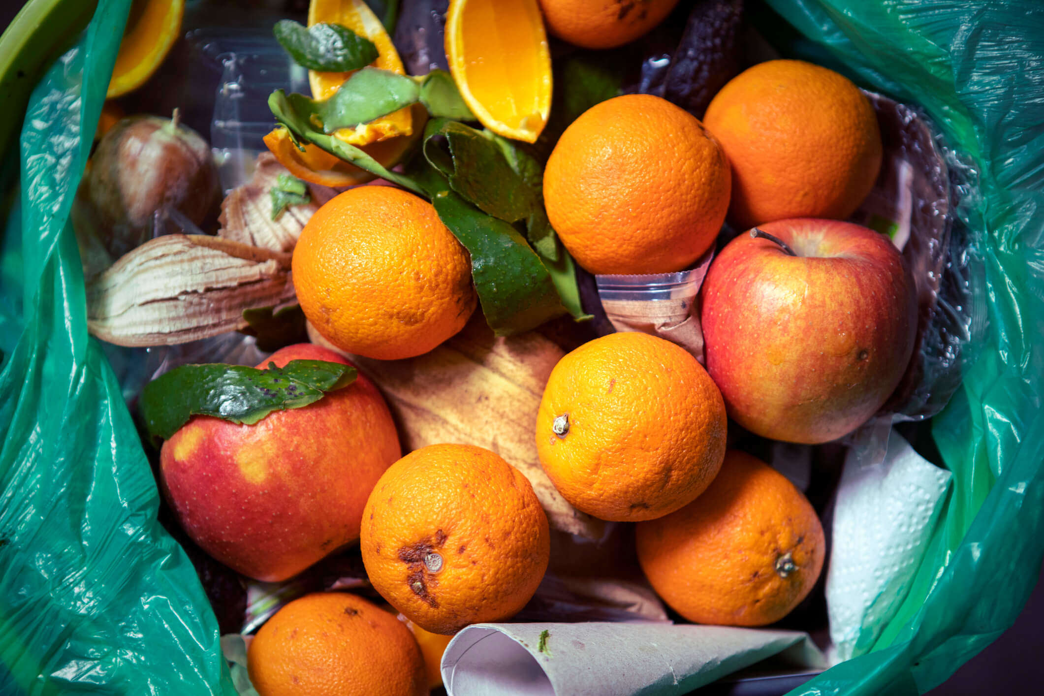 a green bag of food waster with oranges and apples and banana peels