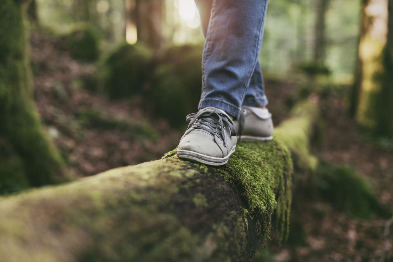 a person walking on a moss covered log in the woodland