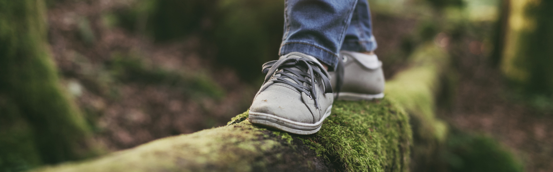 a person walking on a moss covered log in the woodland