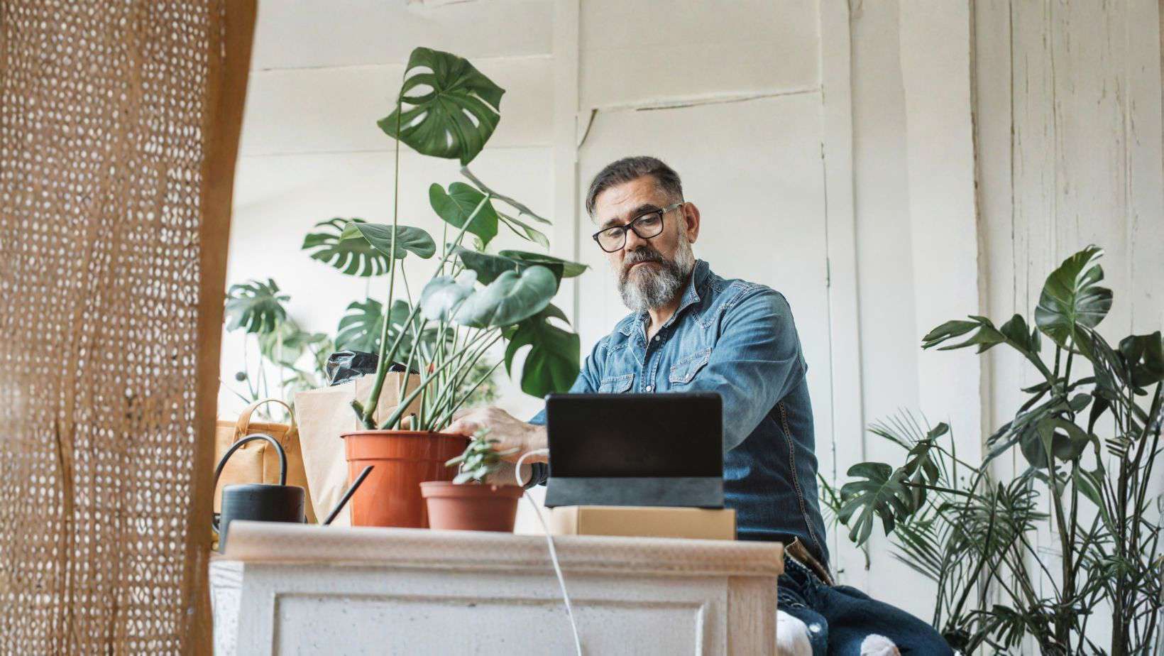 A man tending to some plants while looking at a laptop with a concerned expression on his face.