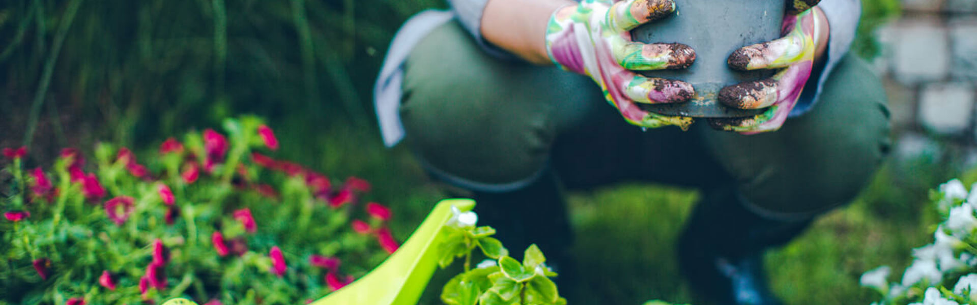 a person wearing a blue shirt and colourful gardening gloves holding a plant in a pot
