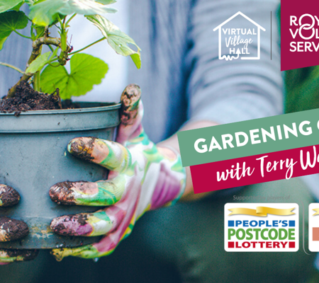 a person wearing a blue shirt and colourful gardening gloves holding a plant in a pot