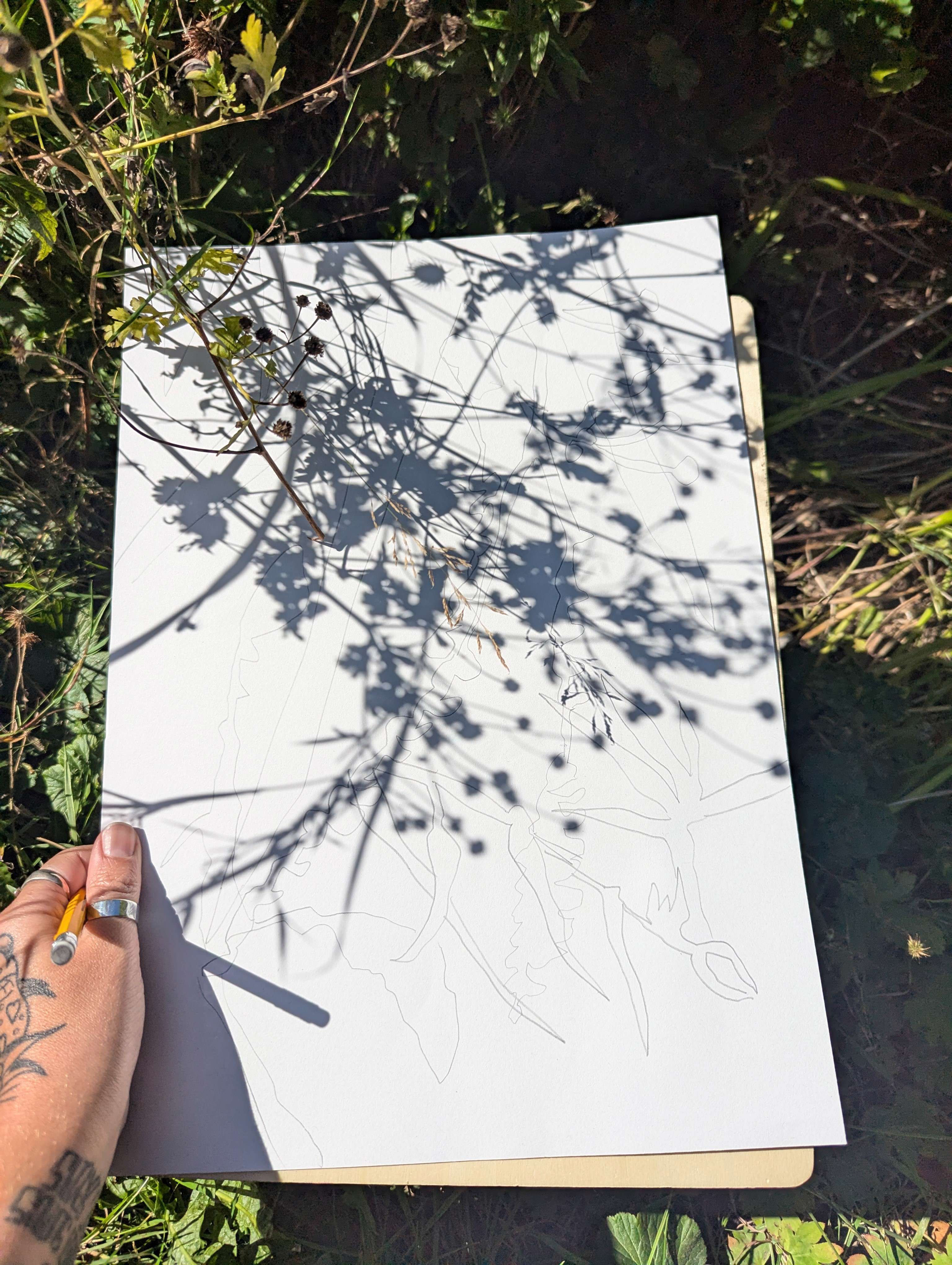 Main image: shadow art by Rosie Johnson
