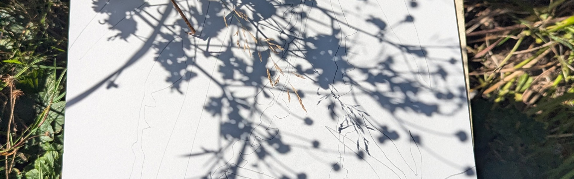 Main image: shadow art by Rosie Johnson