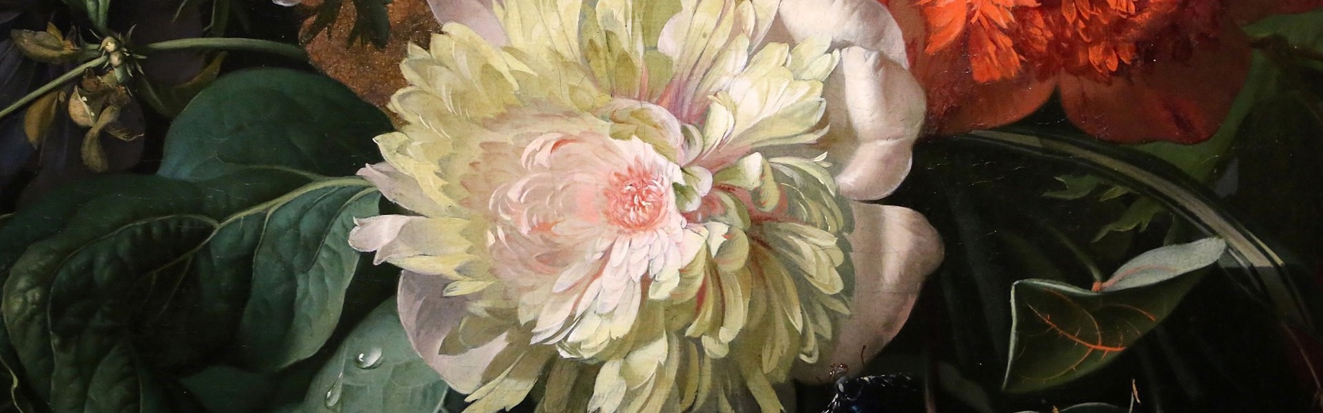 A beautiful painting by Artist Rachel Ruysch. A large white flower, with an orange flower and dark green leaves surrounding it.