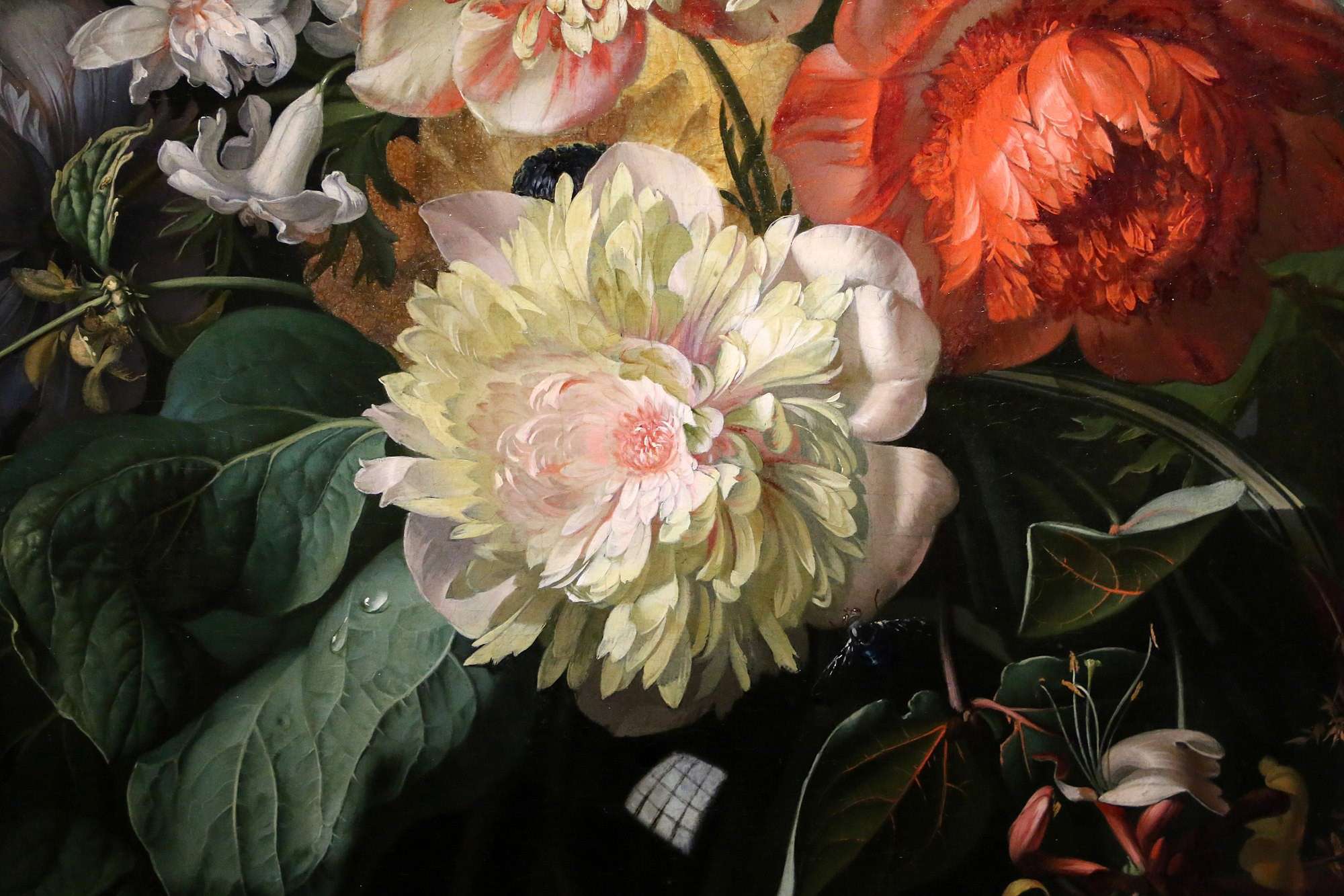 A beautiful painting by Artist Rachel Ruysch. A large white flower, with an orange flower and dark green leaves surrounding it.