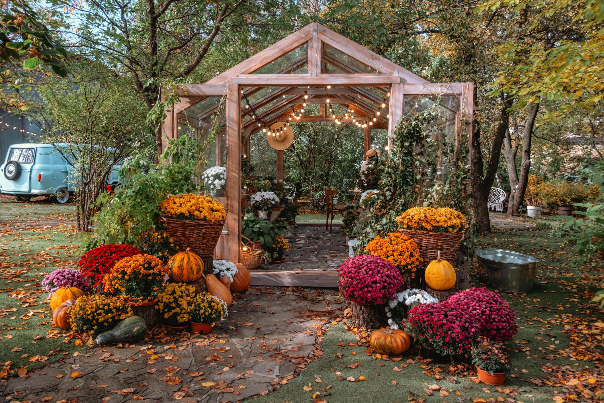 Main image: a beautiful allotment greenhouse in Autumn, with orange pink and yellow flowers and fairy lights.