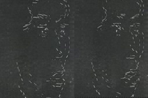 Henri Matisse Mono Printing Rachel Moore Image 2